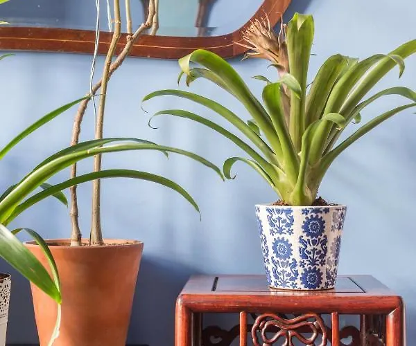 Charming In A 19th Century Building *