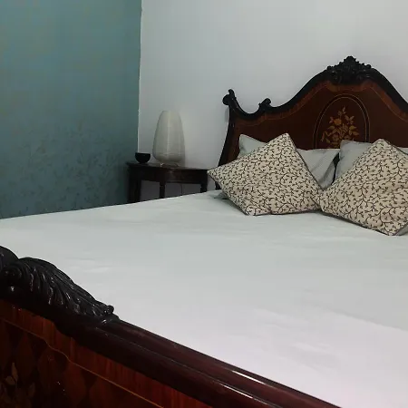 Apartman Charming In A 19th Century Building